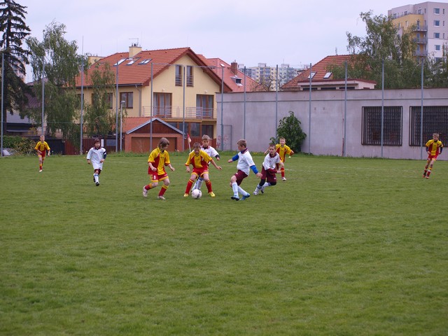 _5161836.JPG
