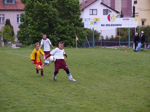 _5161853.JPG