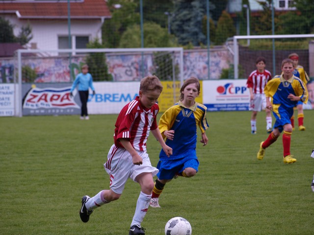 _5301992.JPG