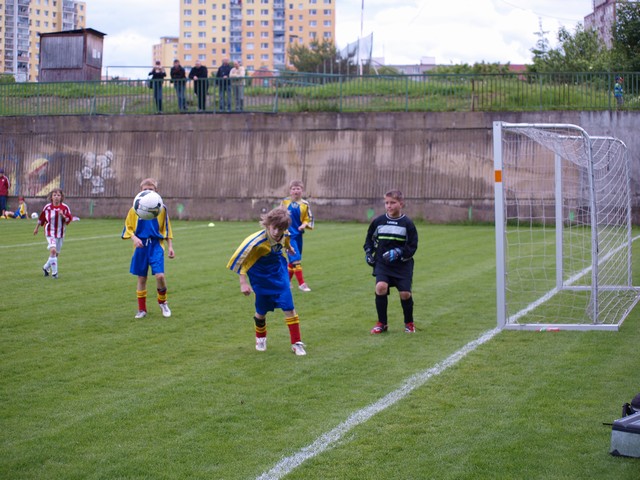 _5302001.JPG