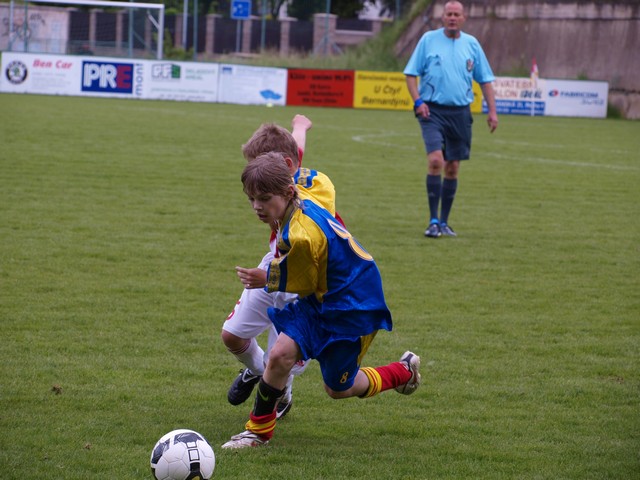 _5302007.JPG