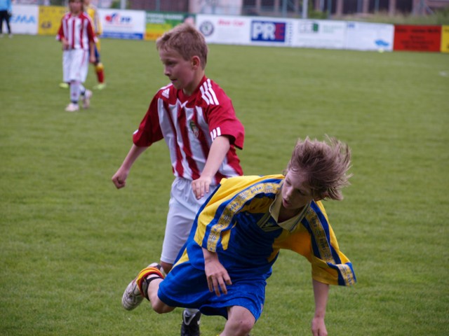 _5302008.JPG